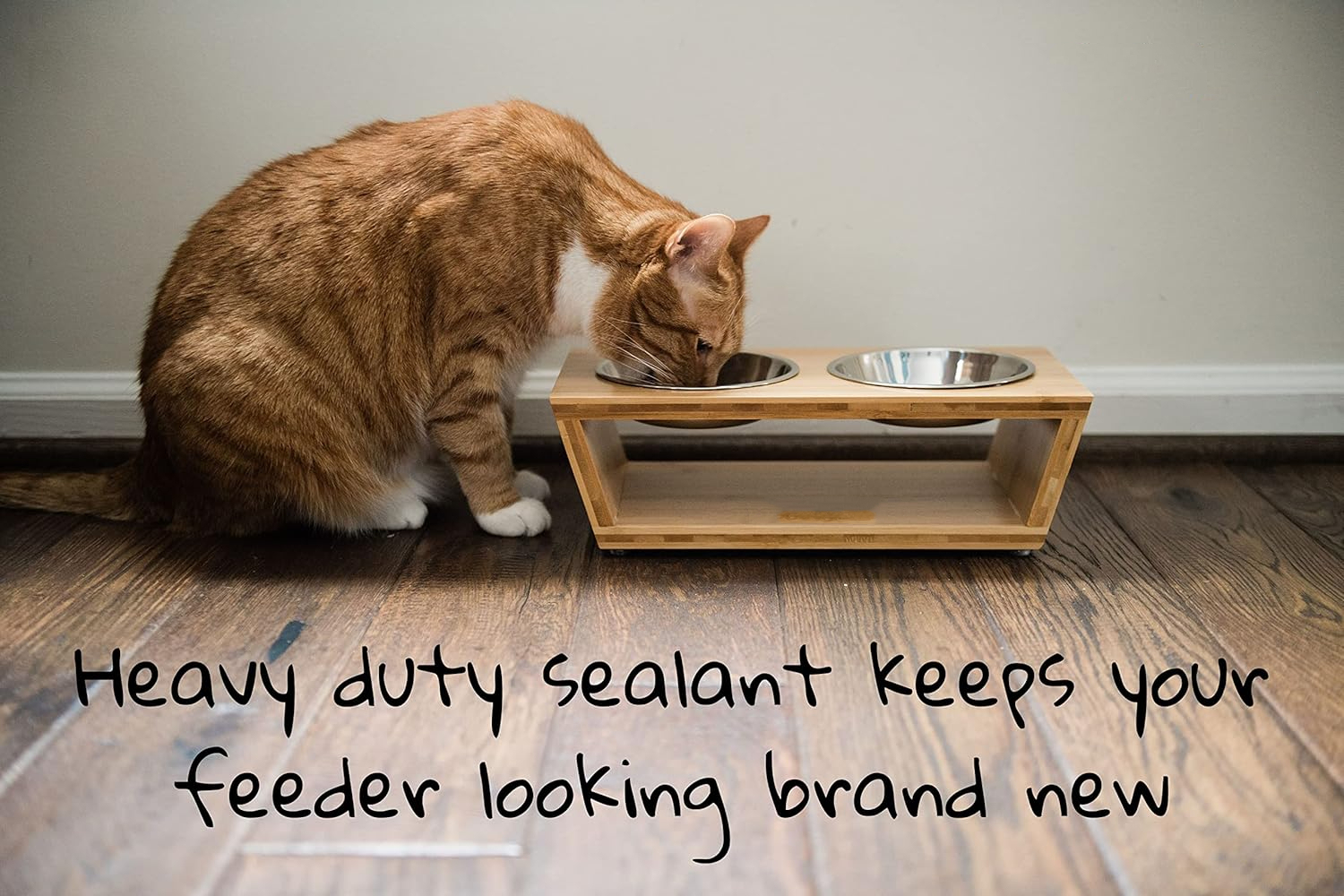 4” Raised Dog Bowls for Small Dogs and Cats.