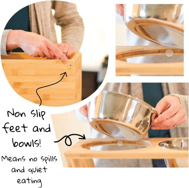 4” Raised Dog Bowls for Small Dogs and Cats.