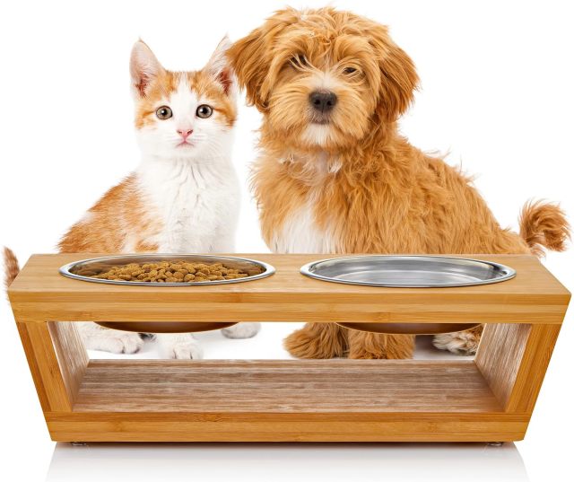 4” Raised Dog Bowls for Small Dogs and Cats.