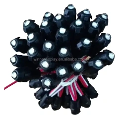 Waterproof 9mm DC 12V LED Pixel light IP65 Single Color Led String Light for advertising signs