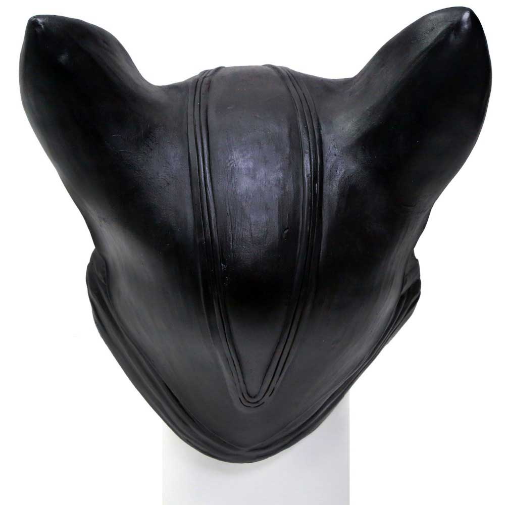 Takerlama Catwoman Mask Superhero Batman Cosplay Costume Black Half Face Latex Mask Helmet Fancy Adult Halloween Props