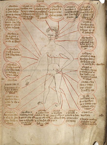 One-Page Guide to Medieval Bleeding