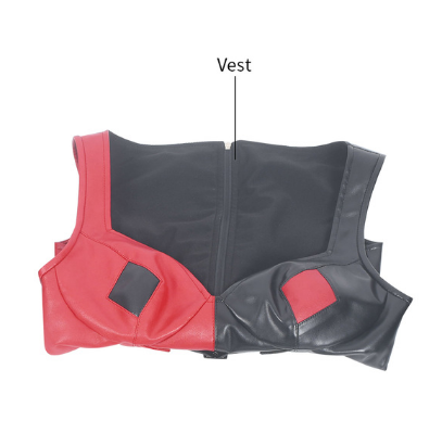 Harley Quinn Halloween Costume Leather Jacket Vest Gloves Pants The Suicide Squad 2 No Boots L XL 2XL In Stock Takerlama