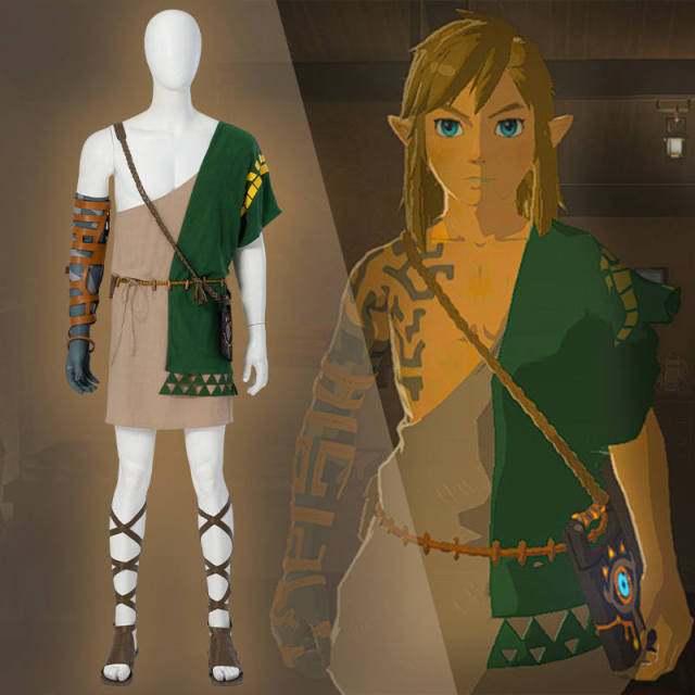 TLOZ: Breath of the Wild Link Cosplay Costume