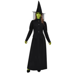 The Wizard of Oz Wicked Witch of the West Halloween Cosplay Costume In Stock Takerlama