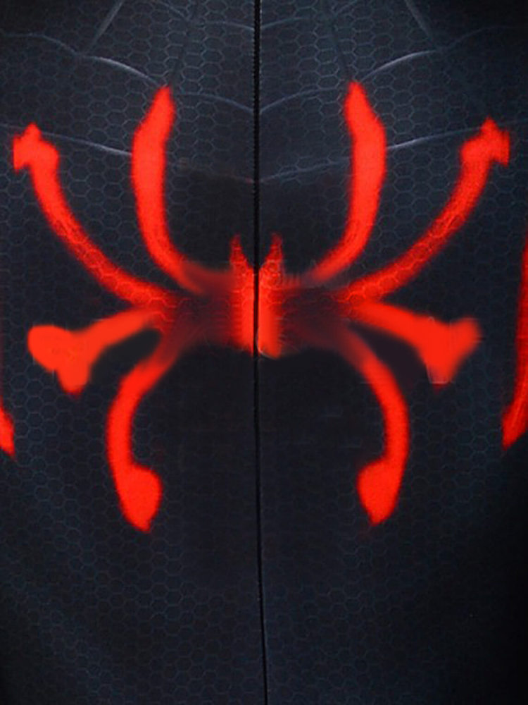 Spider-Man Into the Spider-Verse Miles Morales Cosplay Costumes Takerlama