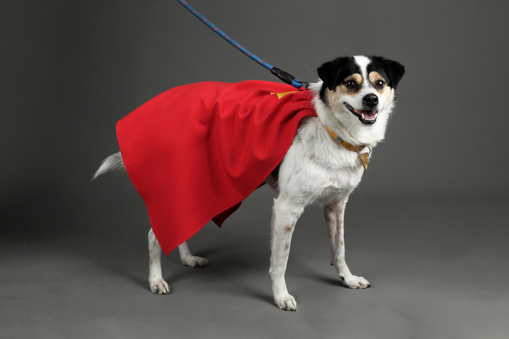 Krypto the Superdog Cosplay Costume Comic Superhero Dog Pet Puppy Halloween Suit Takerlama