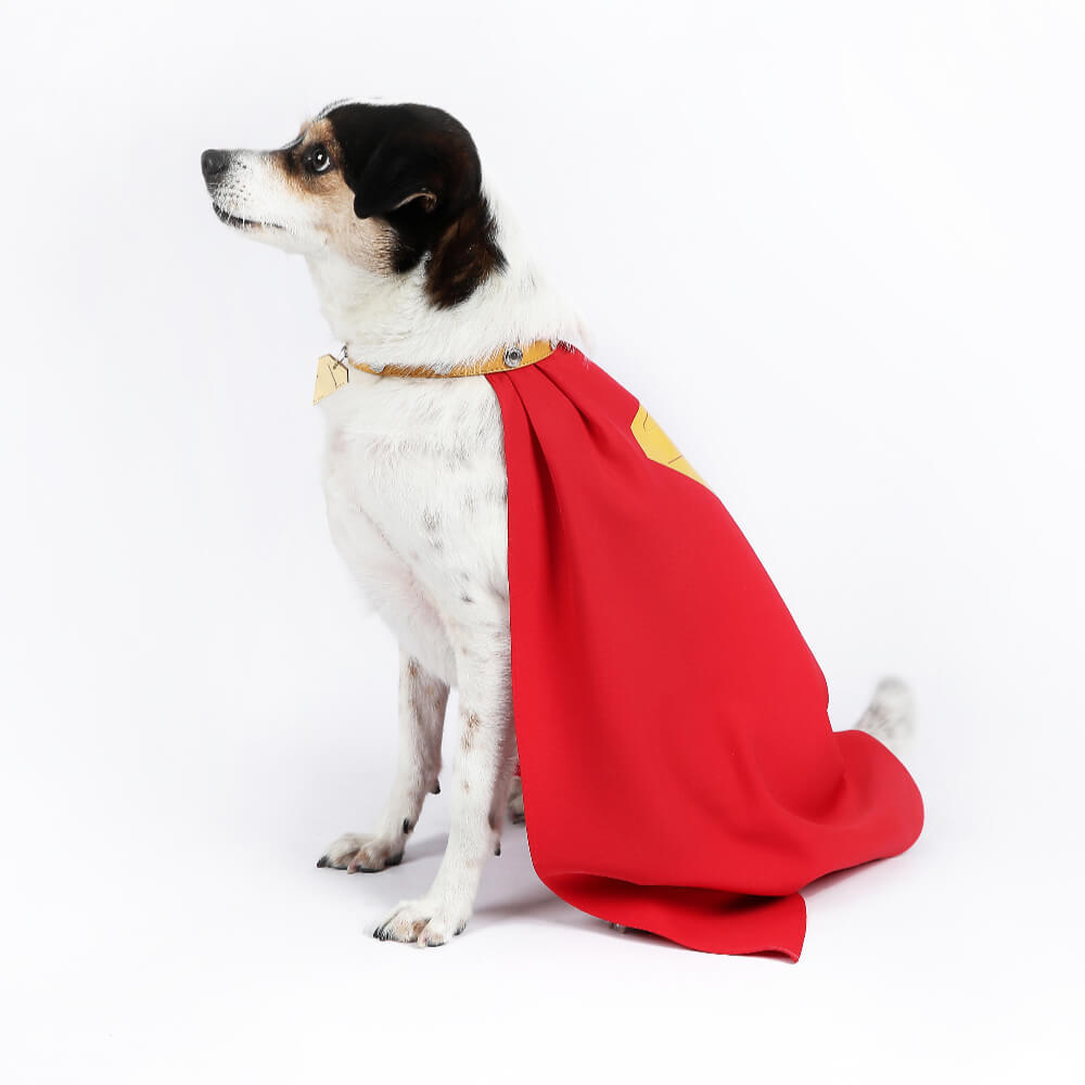 Krypto the Superdog Cosplay Costume Comic Superhero Dog Pet Puppy Halloween Suit Takerlama