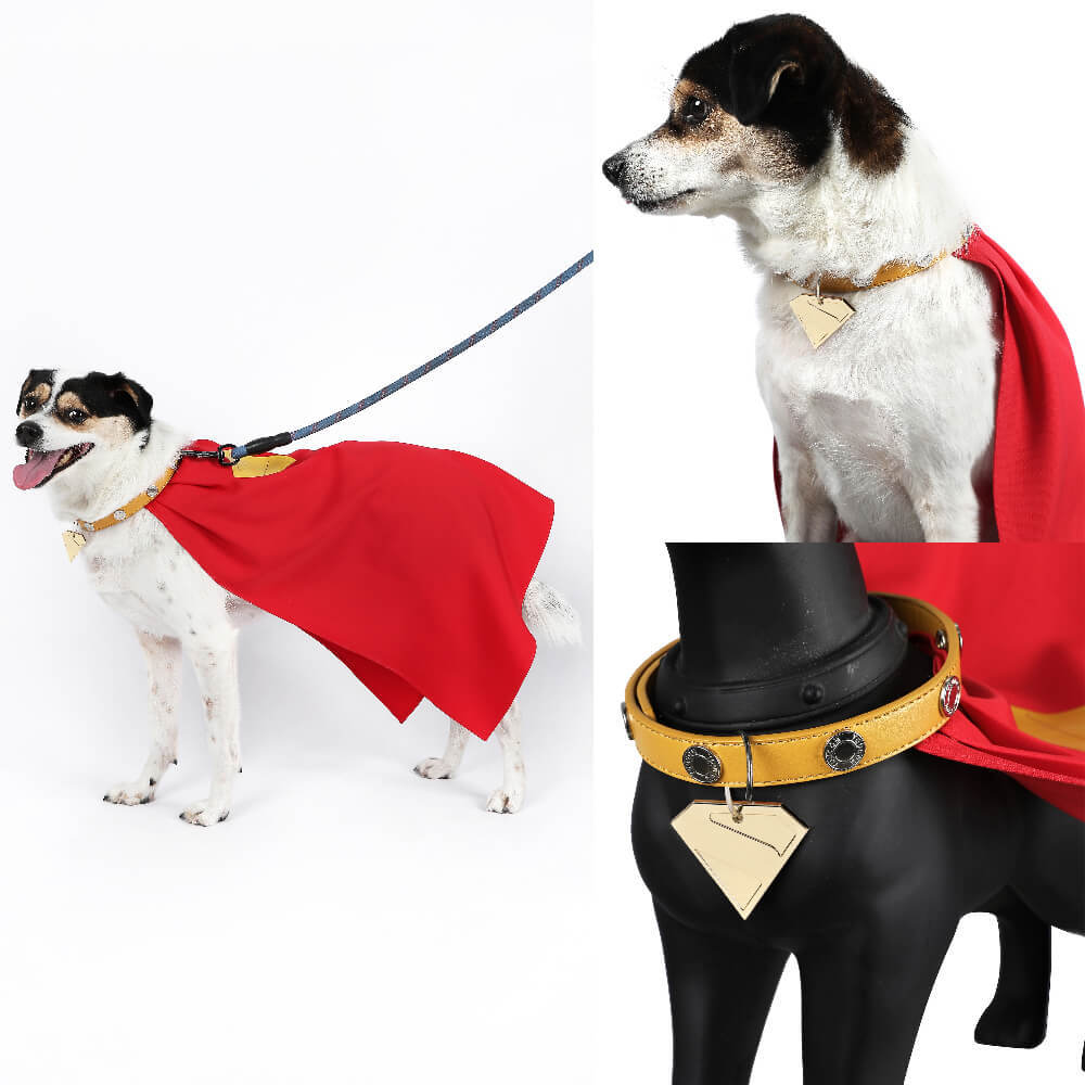 Krypto the Superdog Cosplay Costume Comic Superhero Dog Pet Puppy Halloween Suit Takerlama