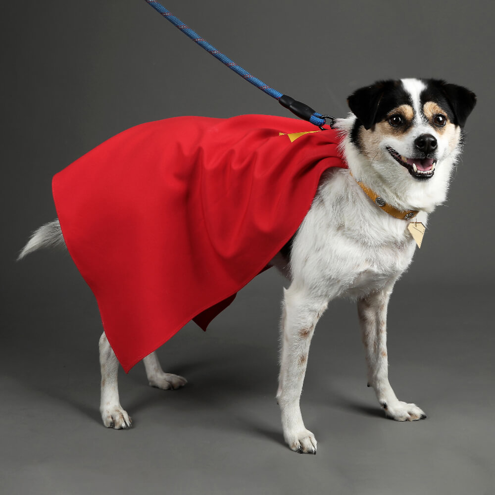 Krypto the Superdog Cosplay Costume Comic Superhero Dog Pet Puppy Halloween Suit Takerlama