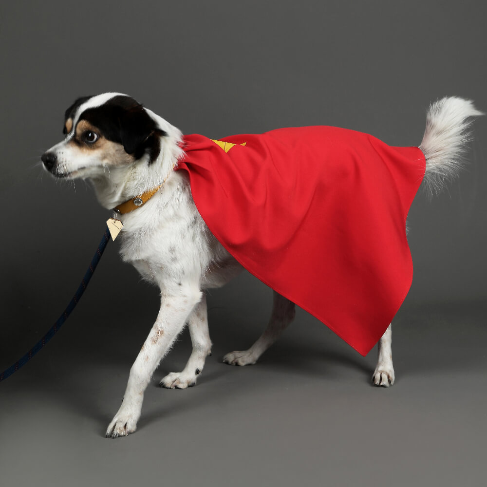 Krypto the Superdog Cosplay Costume Comic Superhero Dog Pet Puppy Halloween Suit Takerlama