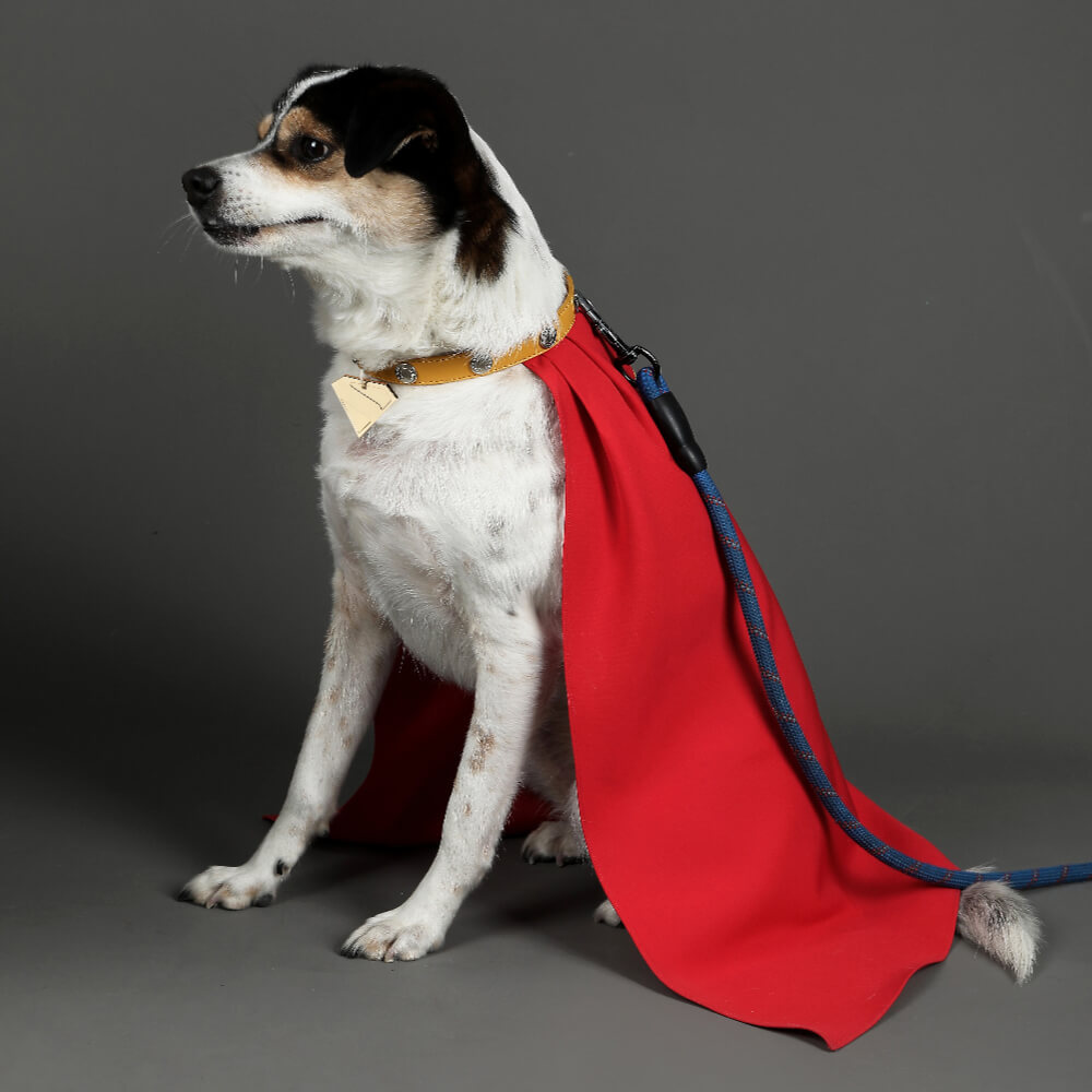 Krypto the Superdog Cosplay Costume Comic Superhero Dog Pet Puppy Halloween Suit Takerlama