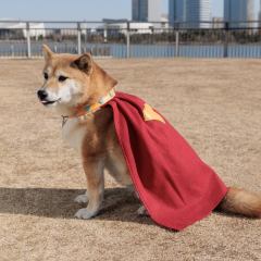 Krypto the Superdog Cosplay Costume Comic Superhero Dog Pet Puppy Halloween Suit XS-XXXL Takerlama