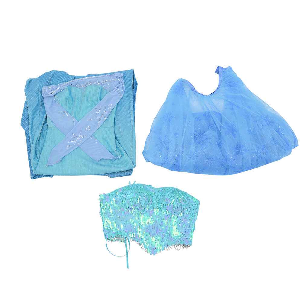 Deluxe Frozen Elsa Snow Queen Cosplay Costume Takerlama