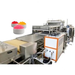 ظهرت خط إنتاج بوبا,ظهرت خط إنتاج بوبا,Shanghai Panda Machinery Co., Ltd.