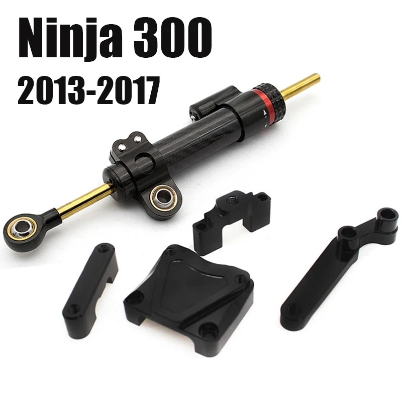 Ninja 300 EX 300 Fiber Carbon Steering Damper Stabilizer Mounting Bracket Kit For Kawasaki EX300 Ninja300 2013-2017 2016 2015