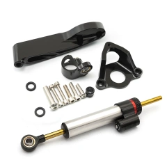 Carbon Fiber Steering damper kit Silver