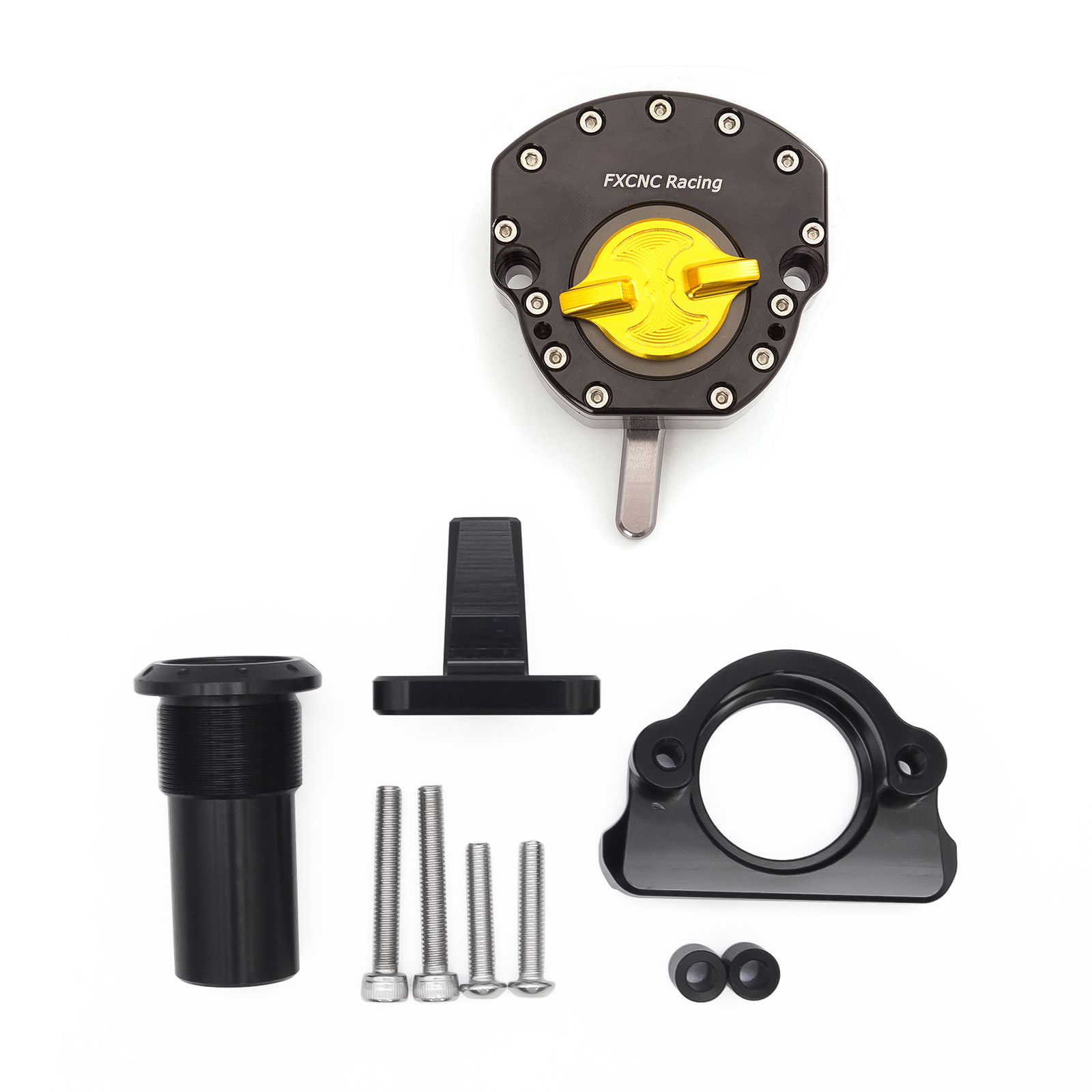 CNC Aluminum Steering Damper & Bracket Mouting Kit For QJMOTOR 600RS