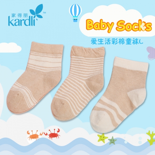 KARDLI Children Sock (L) 家得丽爱生活彩棉童袜L [3PAIRS/1BOX]