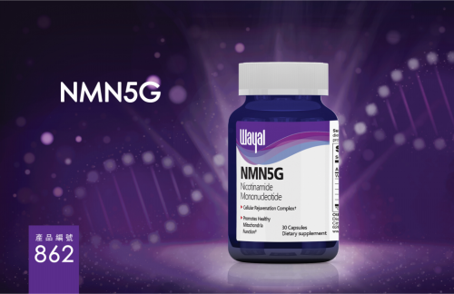W862  NMN5G 高品质抗衰老系列 30CAPSULES