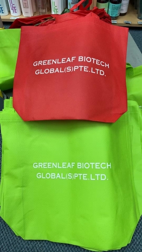 DAJ021-1 GREENLEAF Non Woven Fabric  Big Bag  绿叶无纺布袋(红色/绿色）