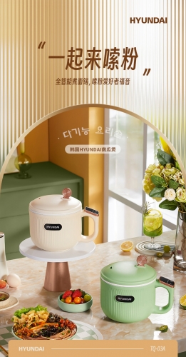 TQ03A HYD Four Function Smart Cooker 4大智能加热器1.2L（230*225*265MM)