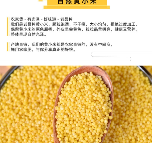YZQ001 YANZHOUQING Yellow Millet 延安黄小米 500G