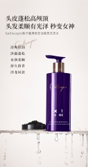 Y1808 Y18 Caviar Refreshing Oil Control Fragrance Shampoo 鱼子酱清爽控油香氛洗发水 500ML