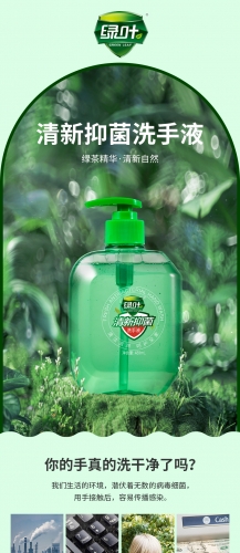 [NEW ARRIVAL | 15% OFF] LYA121/LGN008 GREENLEAF Antibacterial Hand Sanitizer Flav Greentea  绿叶清新抑菌洗手液-绿茶精华 480ML