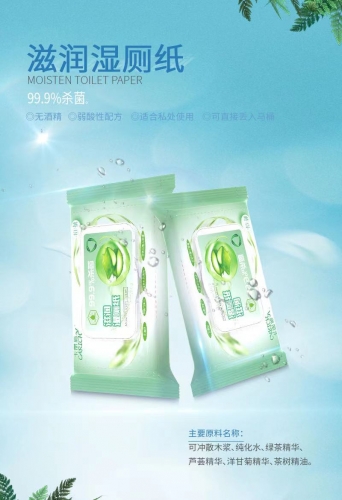 CEA068 CARICH Moisten Toilet Paper 抽取滋润湿厕巾99.9%杀菌（40PACKS）