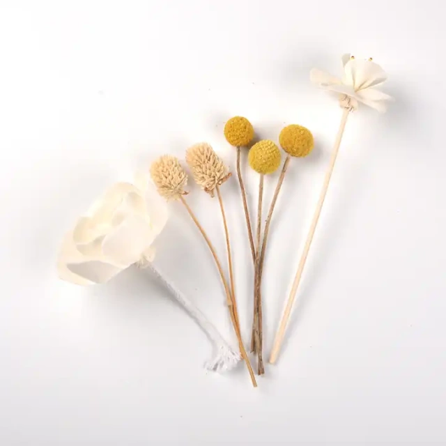 Natural Dried Flowers Preserved Flowers Buttons Chrysanthemum Dried Rattan Reed Sticks