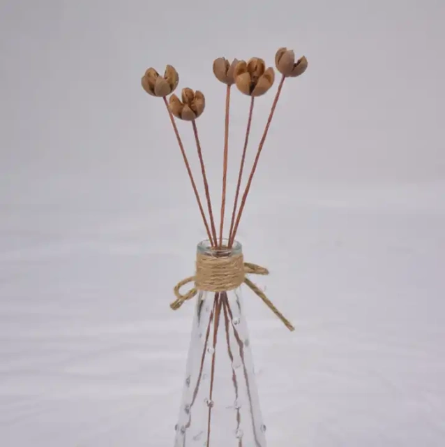 Decorative Baby Breath Preserved Dried Preserved Flowers Plants Home Fragrance Reed Diffuser