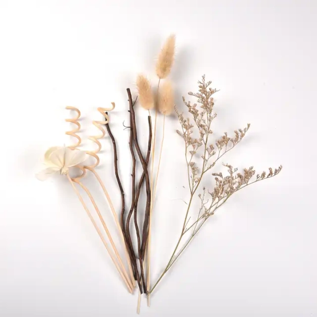 Natural Dried Flowers Colorful Lagurus Dried Ovatus Preserved Flowers Reed diffuser Sticks