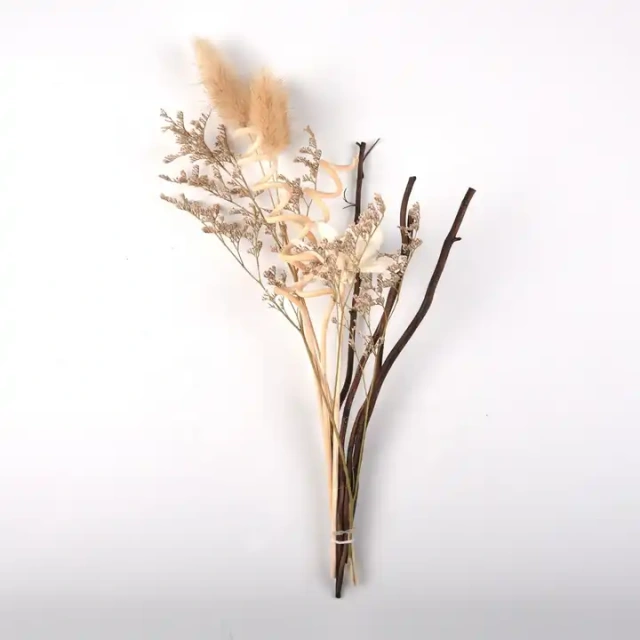 Wholesale Preserved Dried Flower Eucalyptus Leaves Decoration Home Fragrance For Reed Diffuser