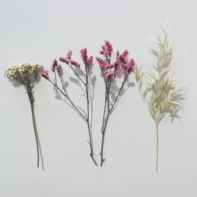 Different matches DIY your favorite style 100% dried natural flowers for Reed Diffuser