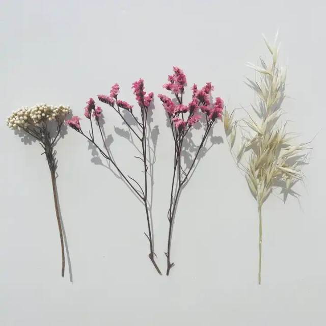 Different matches for your favorite style 100% dried natural flowers for Reed Diffuser