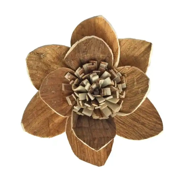 Natural Sola Wood Flower for Aroma Reed Diffuser