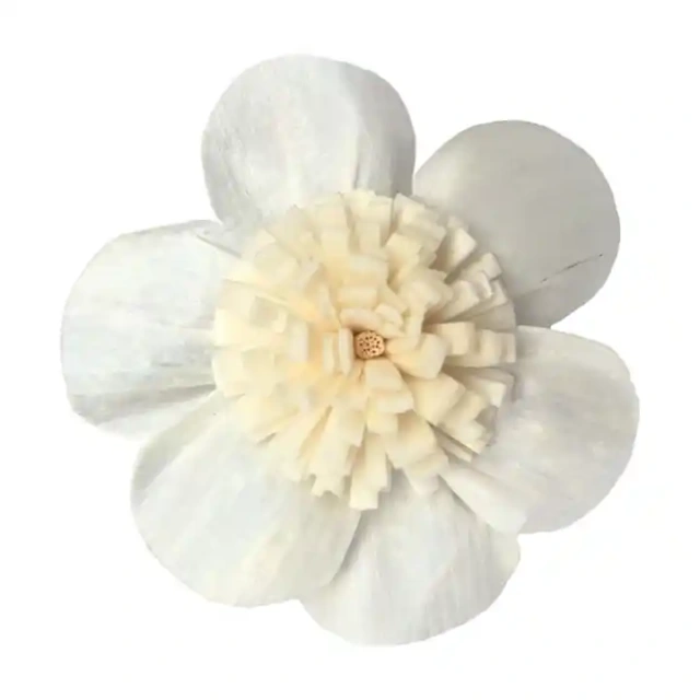 Natural Sola Wood Flower for Aroma Reed Diffuser