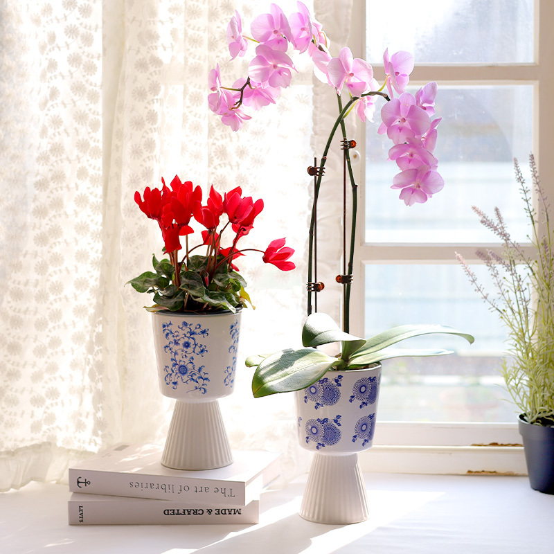 Nordic Modern Design White Elevated Ceramic Planters & Pots Flowerpot For Living Room