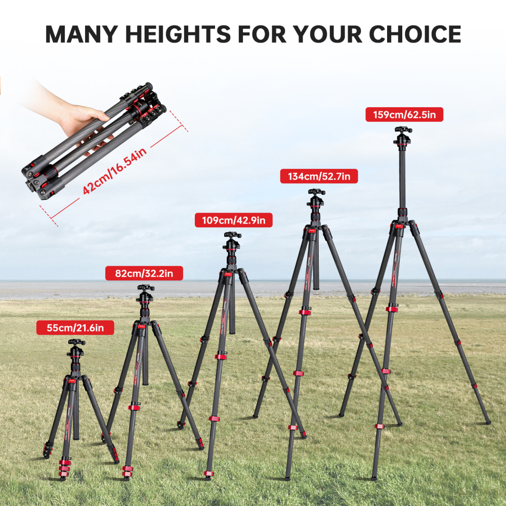 Manbily PH-20 + Q-28 Carbon Fiber Travel Tripod with Ball Head, Lightweight Camera Tripod for DSLR, Mirrorless, Phone Filming & Outdoor Photography