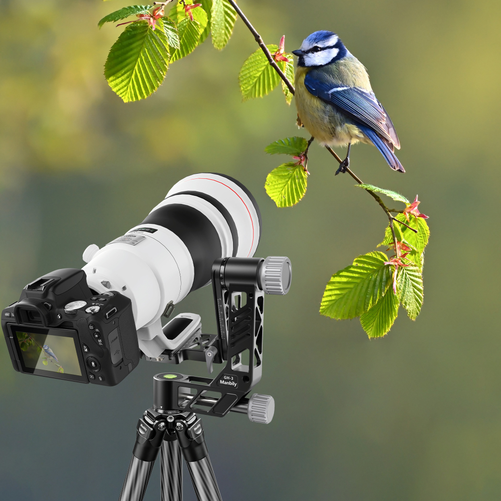 Manbily WZ-324 Carbon Fiber Tripod & GH-3 Gimbal Head Set for Bird Photography, Wildlife Shooting and Telephoto Lens Support