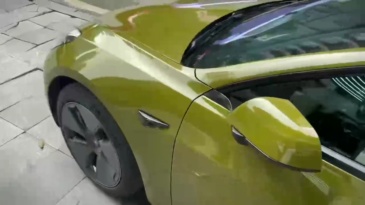 TOPCAR Super Gloss Fir Green PET Vinyl Wrap