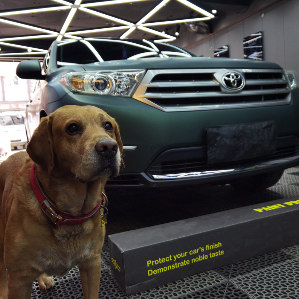 TOPCAR Ultra Matte Fairyland Green Vinyl Wrap Film