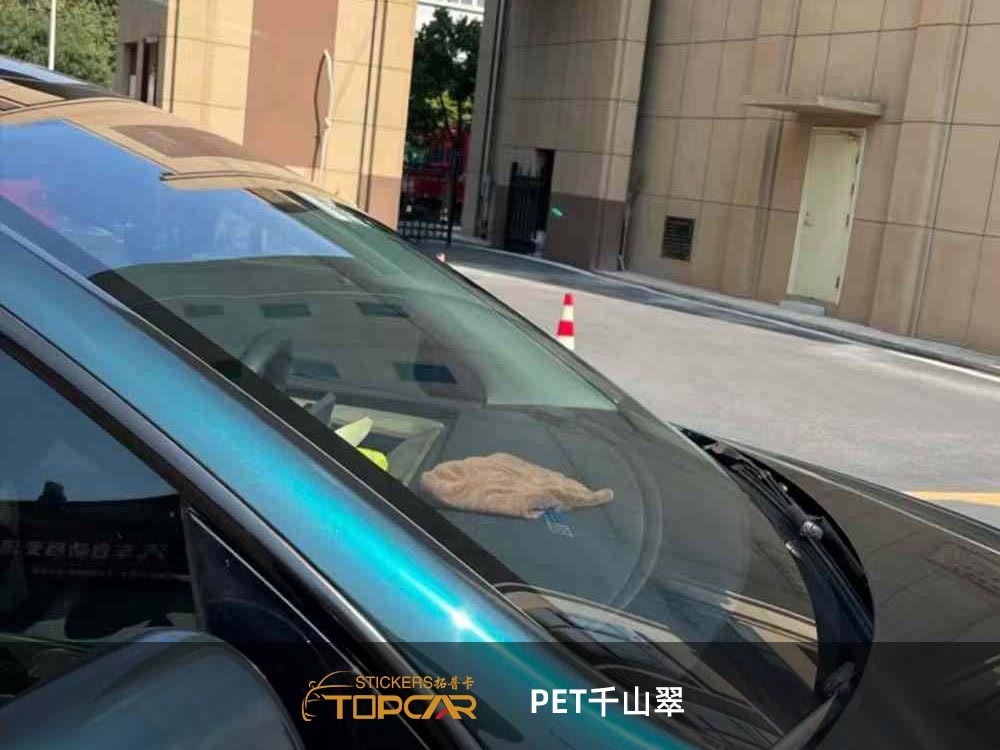 Technical Vinyl Auto Graphics Systems Featuring TOPCAR Endless Mountain Green in Professional Car Wrapping Vinyl Roll Applications