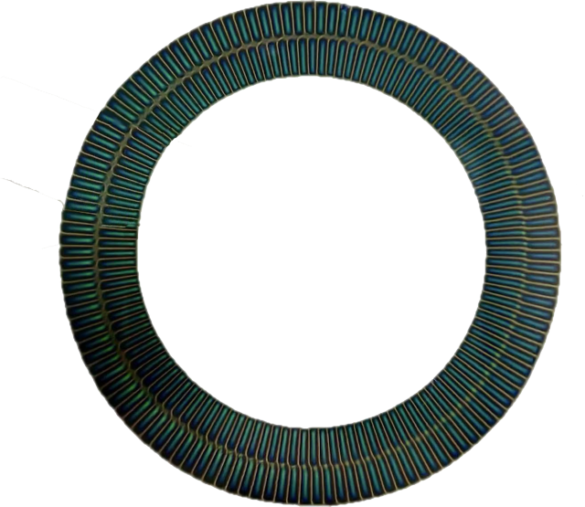 Absolute Magnetic Encoder Disc