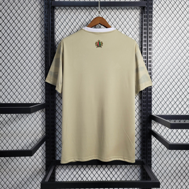 23-24  Ajax  size S-XXL