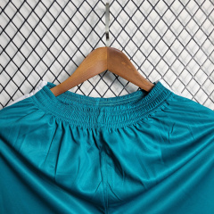 23/24 Fluminense training suit shorts size S-XXL