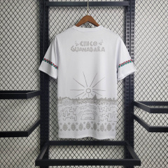 23/24 Fluminense Training clothing