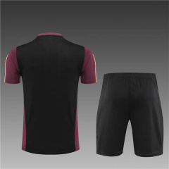 23/24 Germany Training suit kit