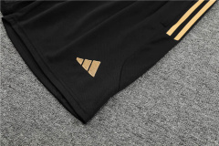 23/24 Germany Training suit kit